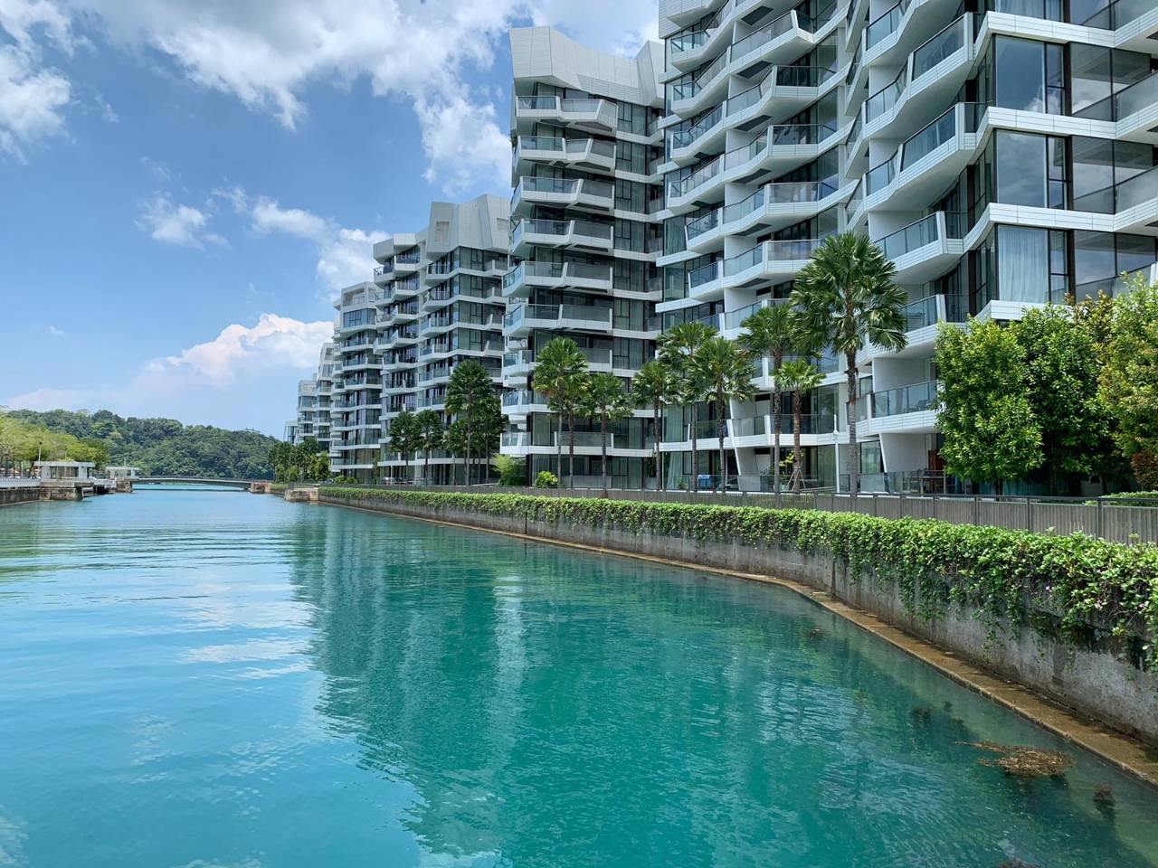 Corals at Keppel Bay Gallery Image 13