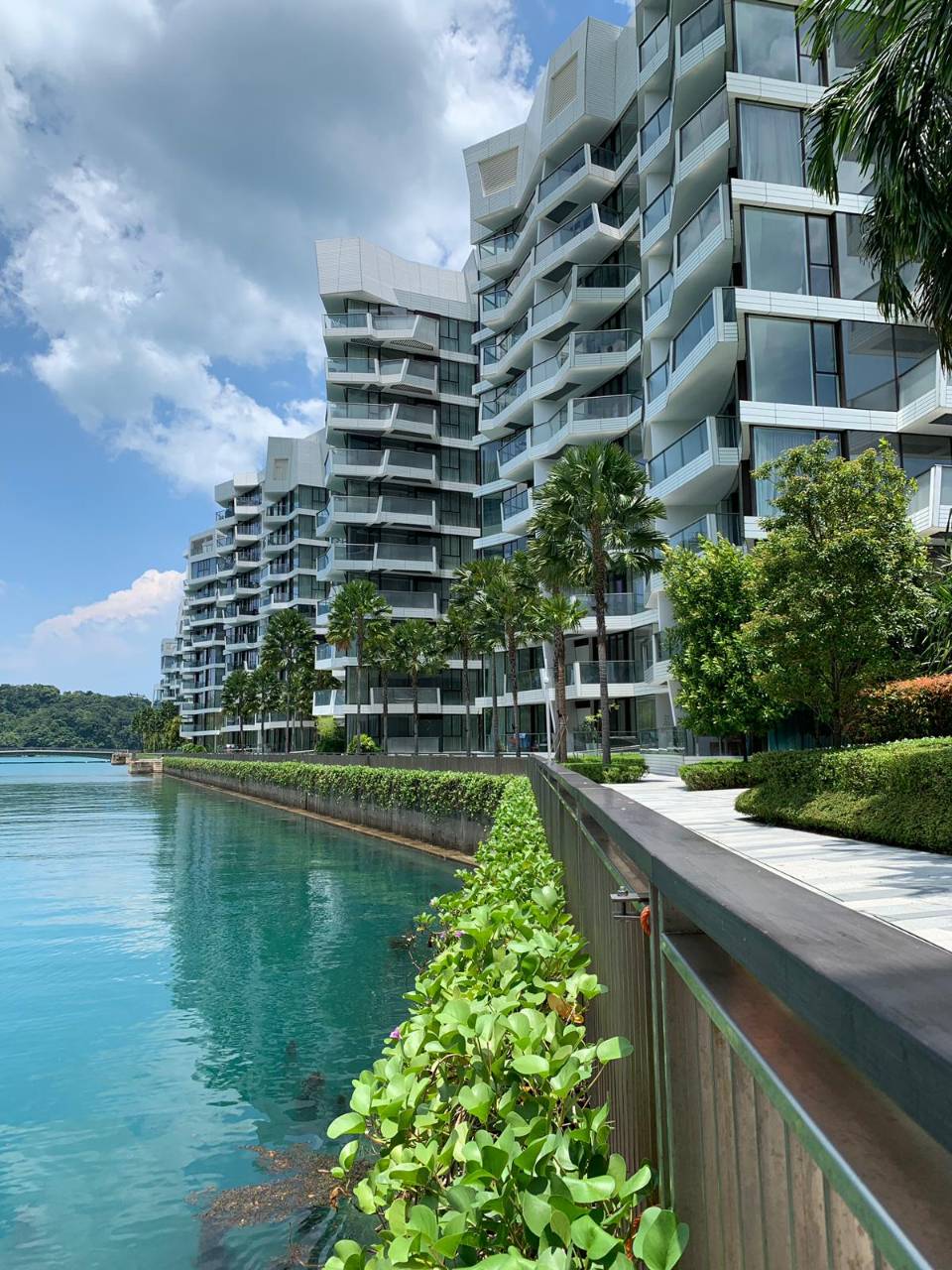 Corals at Keppel Bay Gallery Image 14